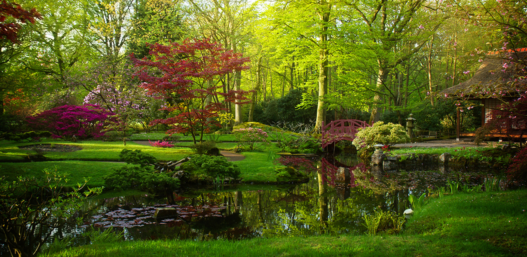 Japanese garden in spring Japanese garden with red bridge in spring , Den Haag, Holland, toned